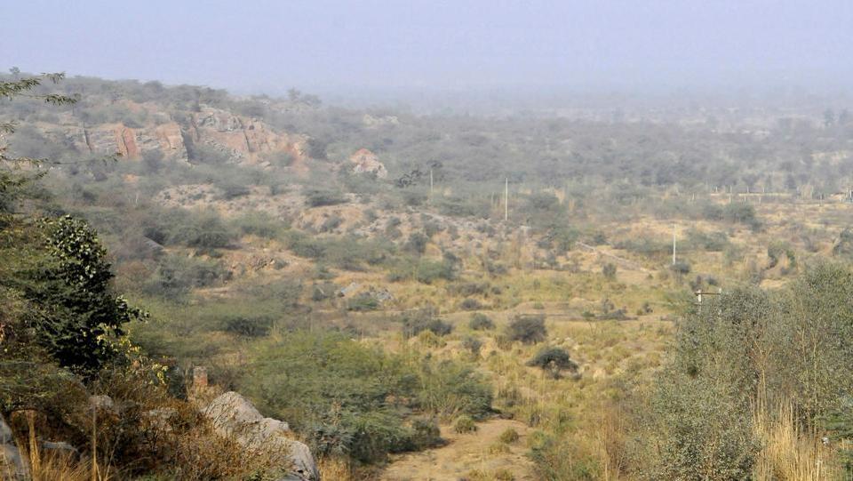 Aravilis mountain in haryana