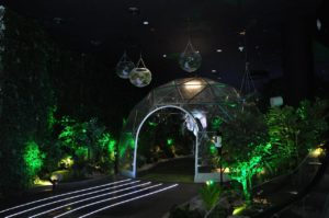 Expo Dubai 2020