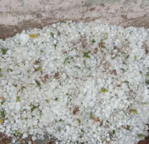 olle hailstorm farm khet