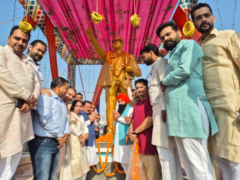 WhatsApp Image 2025-04-14 at 6.25.50 PM