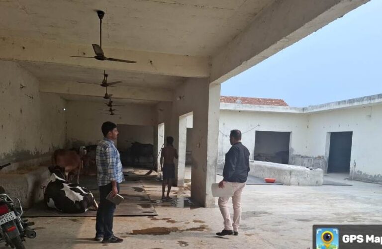WhatsApp Image 2025-06-25 at 2.22.48 PM