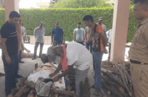 romil cremation