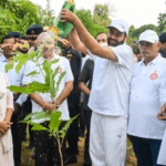 nayab saini plantation