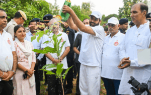 nayab saini plantation