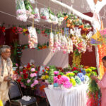 IGM Photo 20 Nov (2)