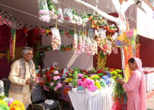 IGM Photo 20 Nov (2)