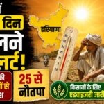 16 may 4
