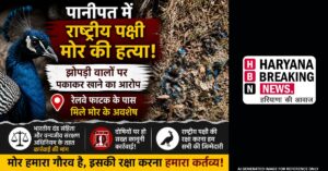 10 june 18