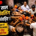 11 aug 2